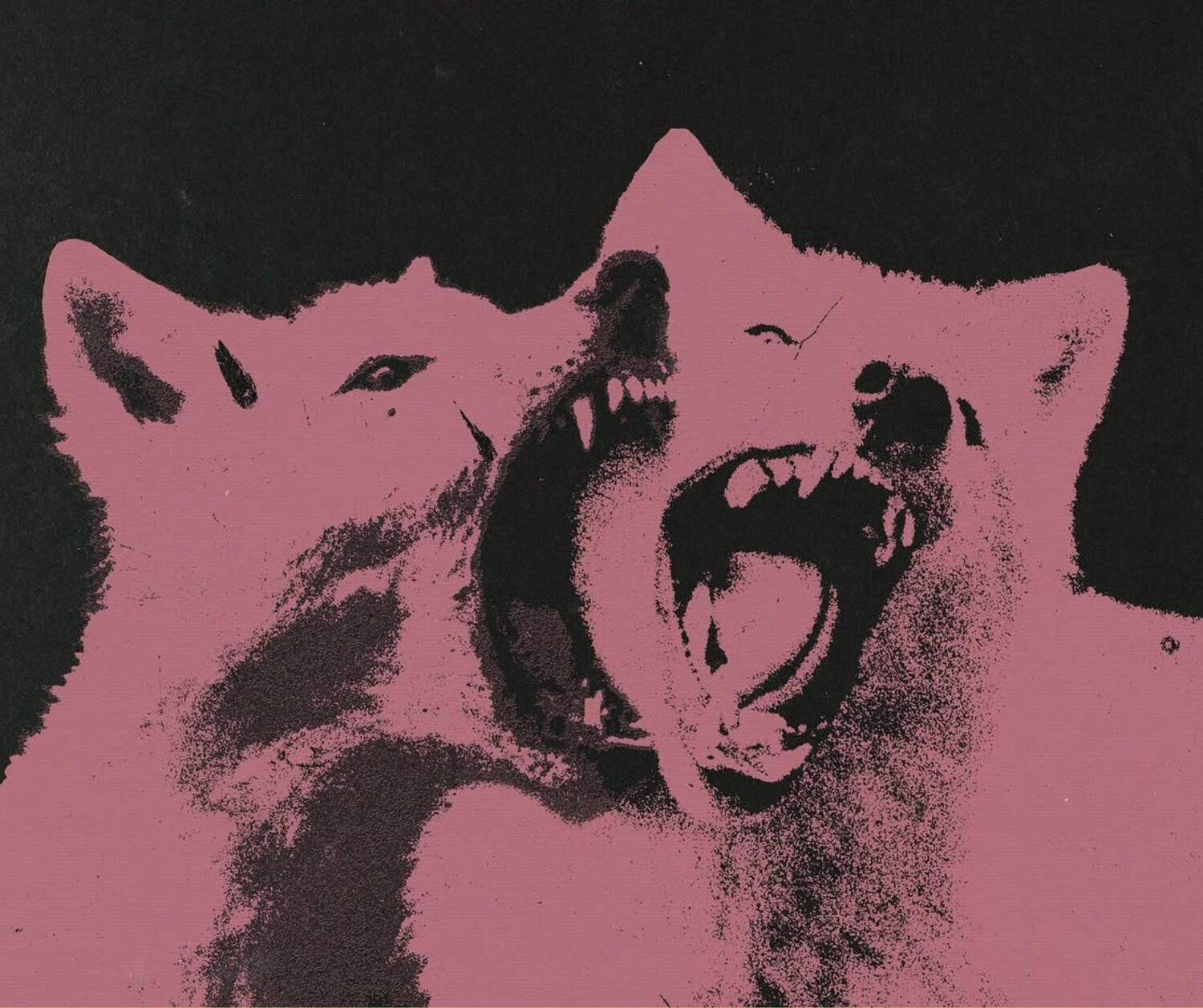 photo by: https://www.instagram.com/piperferrari_/#